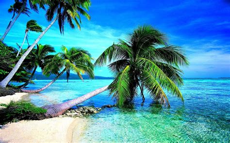 tropical beach hd wallpaper 68 images