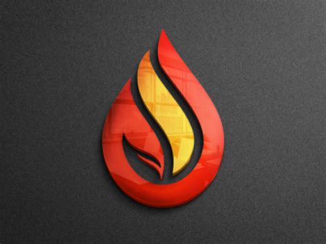 Fire Logo Design By Designingpalace On Dribbble