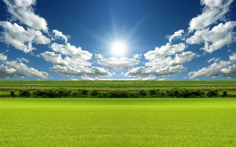 Hd Wallpaper Bright Day Light Nature And Landscape Wallpaper Flare