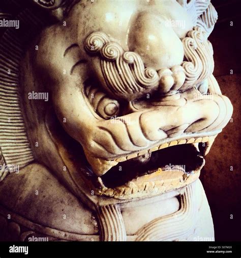 Chinese Lion Head Stock Photo Alamy