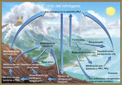 Ciclos BiogeoquÍmicos Mind Map
