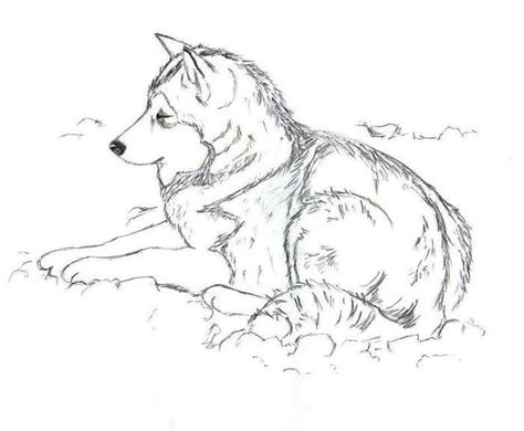 Husky Coloring Pages Pdf Free Coloring Sheets Animal Coloring Pages