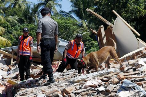 Report Indonesia Earthquake Death Toll Close To 400