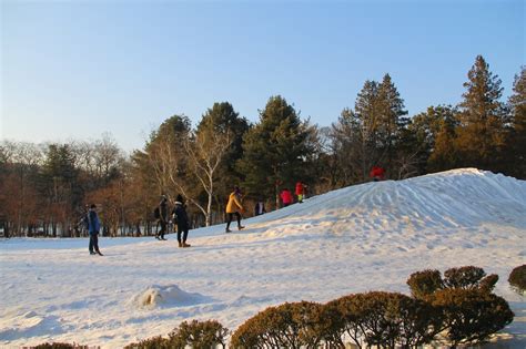 From the positions they stood in the. The Geek Travels: Nami Island: Winter Sonata Adventure