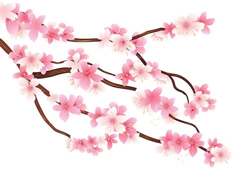 Spring Branch Clipart 20 Free Cliparts Download Images On Clipground 2023