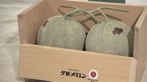 Two Japanese Melons Sold For Over 45000 Times Of Oman