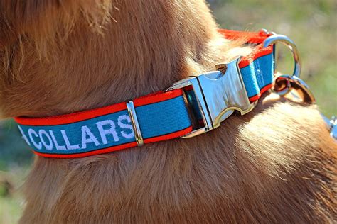 Premium Personalized Embroidered Dog Collar 3 Sizes 14 Colors All