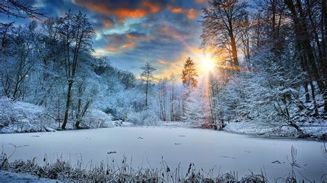 2048x1152 Sunbeams Landscape Snow In Winter Trees 4k
