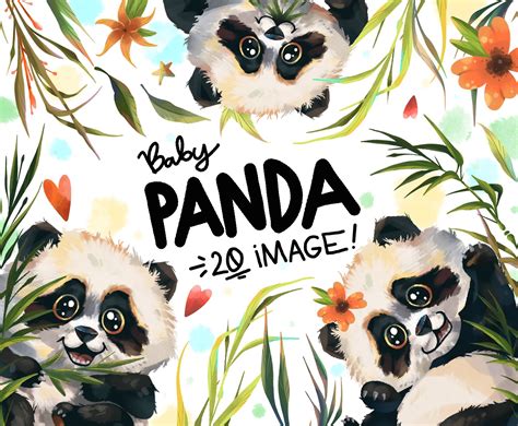 Watercolor Baby Panda Clipart Animal Illustrations ~ Creative Market