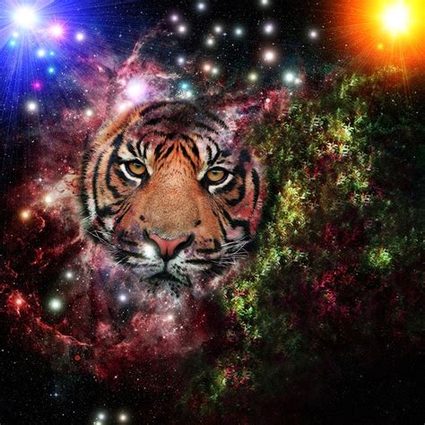 Galaxy Tiger Universe · Free Image On Pixabay