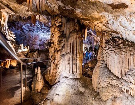 Jenolan Caves Tour Ozia Tours