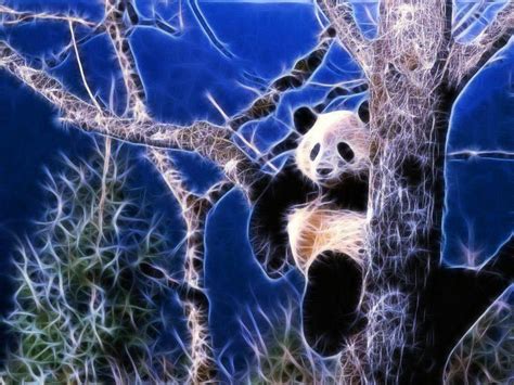 Fractal Animals Fractal Animal Fractal Animals Panda Art Animal