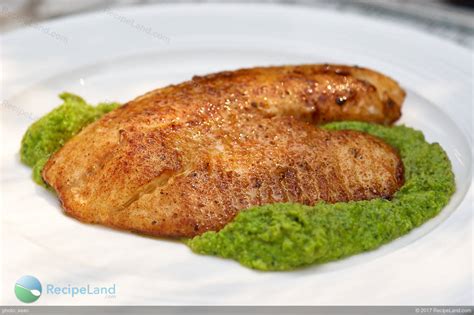 Serve the fish with the optional garlic aioli or a prepared pesto or tartar sauce. Great Grilled Flounder Recipe | RecipeLand.com