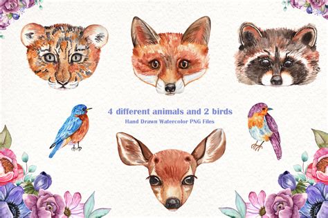 Watercolor Baby Animals And Flowers By Tanatadesign