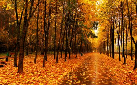 46 Free Screensavers Wallpaper Fall Scenes On