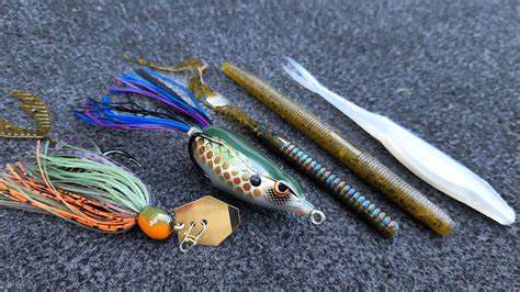 Top Baits For Pond Fishing And Bank Fishing And How To Fish Them