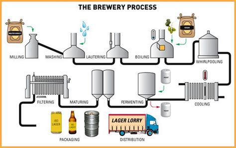The Brewery Process From Milling Distribution All About