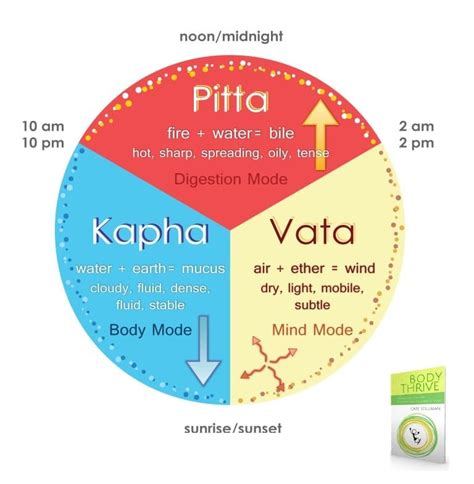 The Ayurvedic Clock Are You At War With Time Yoga Health Coaching