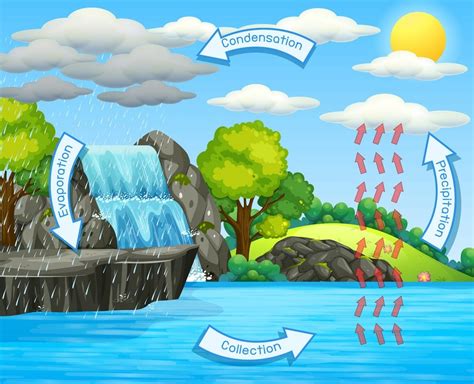 Soal soal, kisi kisifull description. Soal Siklus Air (Daur Hidrologi) Pilihan Ganda dan Kunci Jawaban