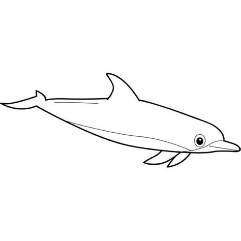 Cute Bottlenose Dolphin Sea Free Coloring Page Download