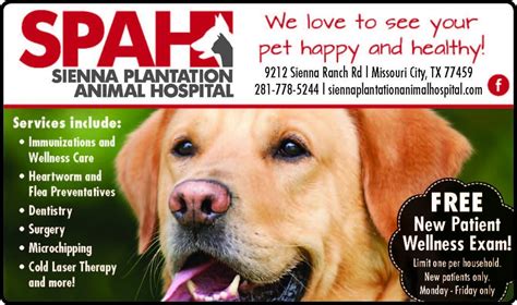 Sienna Plantation Animal Hospital - The List