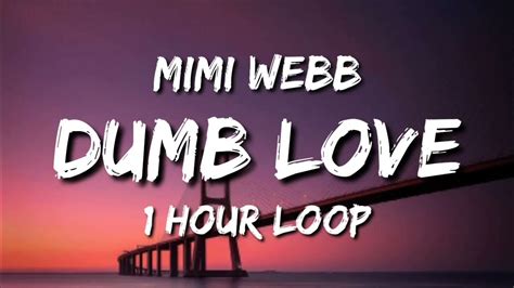 Mimi Webb Dumb Love 1 Hour Loop Youtube