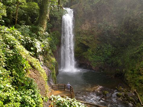 Poas Volcano Coffee Tour And La Paz Waterfalls Garden Ecogetaways