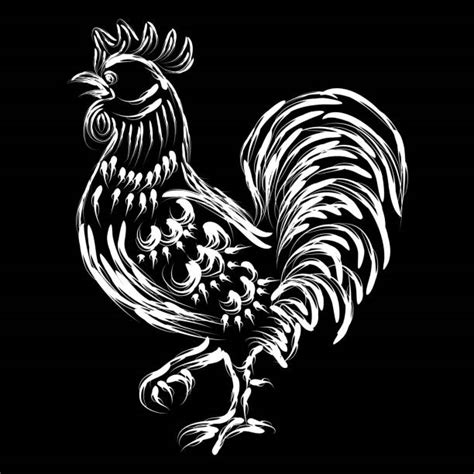 Best Black And White Rooster Illustrations Royalty Free