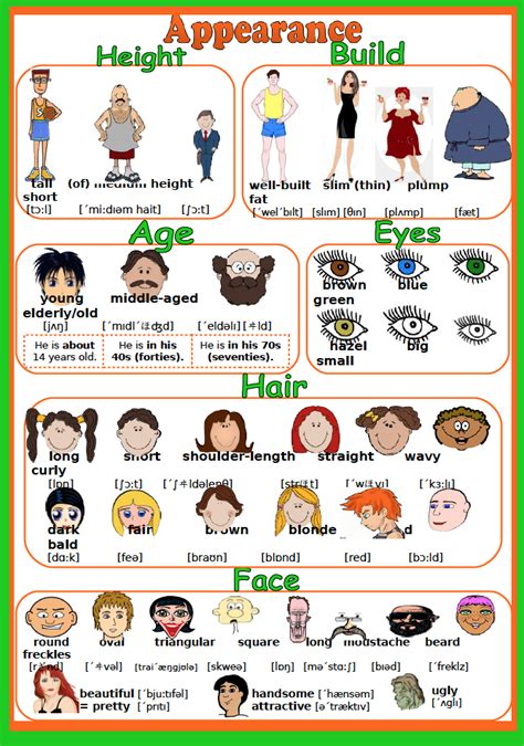 Learn It English Adjectives For Appearance 30e