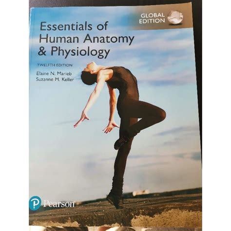 Essential Of Human Anatomy And Physiology 12th Edition Global Edition
