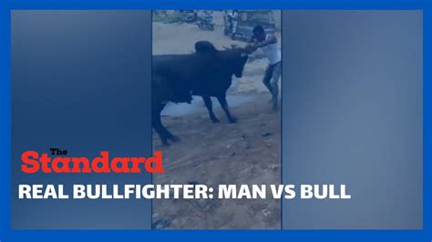 Bullfighter Man Literally Grabs A Bull By Its Horns And Tackles It