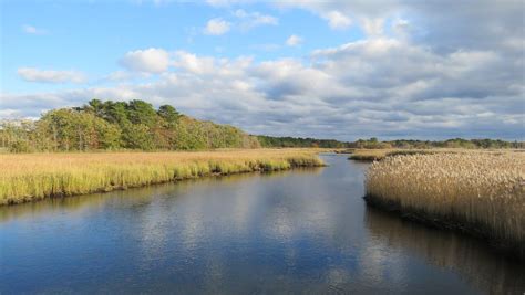Take A Hike In Cape Cod Through The Mashpee River Woodlands
