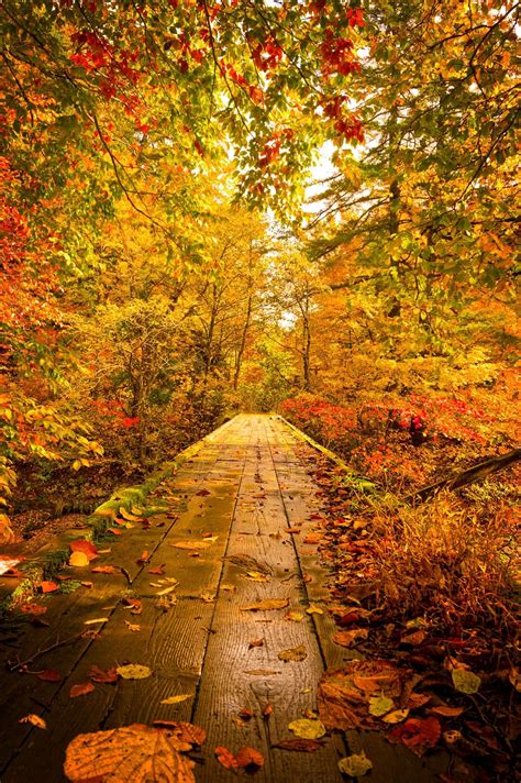 Warm Path Yu Brook 湯ノ沢 Autumn Scenery Autumn Scenes Nature