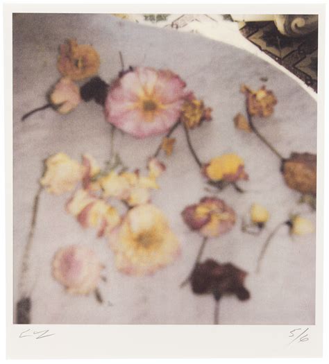 Cy Twombly 1928 2011 Light Flowers Two Works Christies
