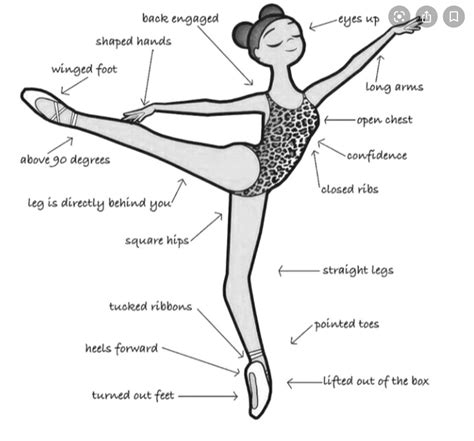 Dance Position In 2020 Ballet Terms Ballet Basics Ballet Technique