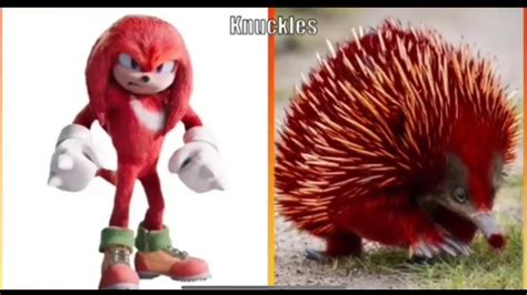 Sonic Characters In Real Life All New Characters Youtube