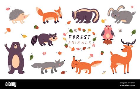 Set Of Cute Forest Animals On A White Isolated Background Children S