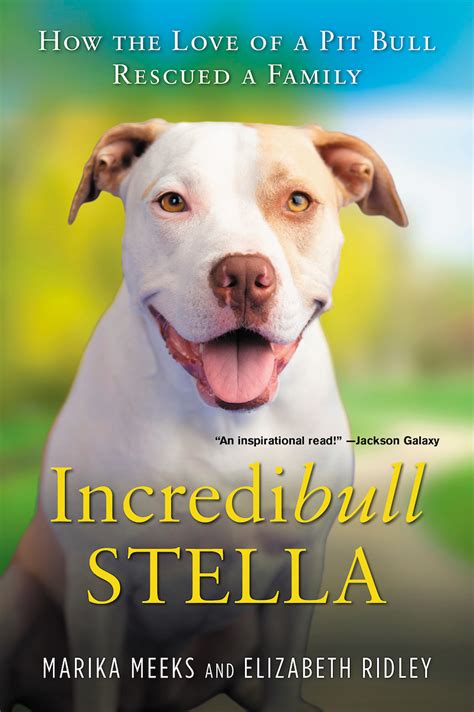 4 Books For Dog Lovers To Read While Self Isolating Pets For Children