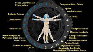 39 Alarm Clock 39 Gene Explains Wake Up Function Of Biological