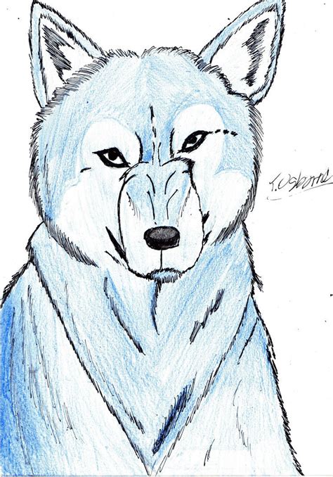 Blue Wolf By Ozzy 25 On Deviantart