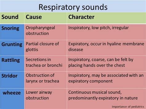 Respiratory Sounds Nursing Student Tips Nursing School Studying