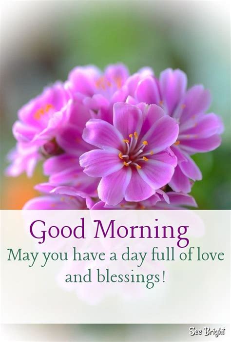 Good Morning Good Morning Flowers Good Morning Wishes Friends