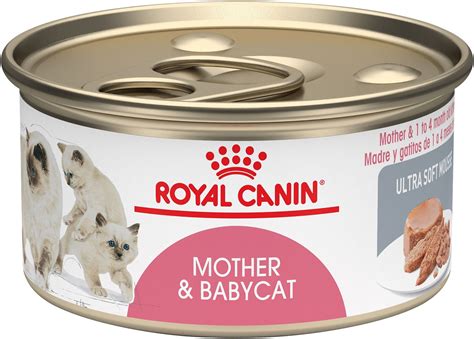 Royal canin breed specific cat; Royal Canin Mother & Babycat Ultra-Soft Mousse in Sauce ...