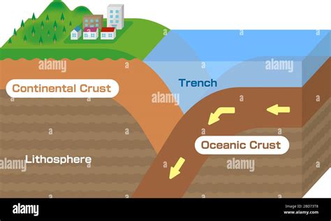 Continental Crust And Oceanic Crust 3 Dimensions View Vector