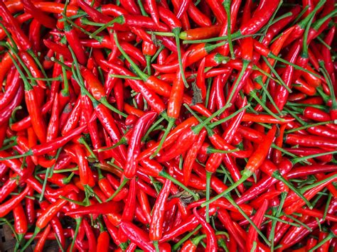 Capsaicin The Chemical That Makes Chili Hot Could One Day Be Used To