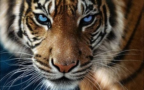 Pin By Pinner On Mother Nature Tiger Painting Wildlife Paintings