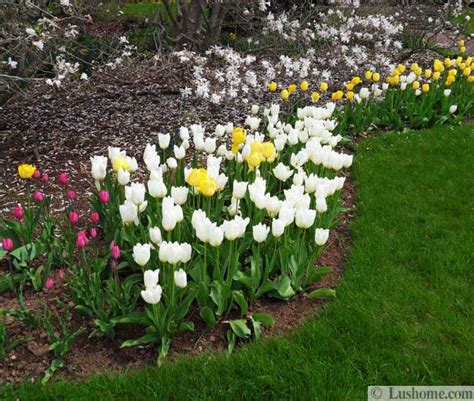 15 Spring Garden Design Ideas Flower Beds And Evergreen