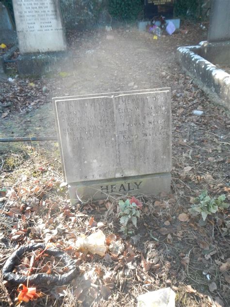 Ellen Mcinerney 61786 Mount Saint Lawrence Cemetery