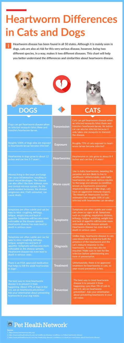 Cushings Disease In Cats Prognosis Kathi Jacoby