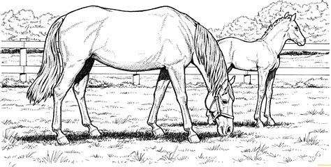 For boys and girls kids and adults teenagers and toddlers preschoolers and older kids at school. Grazzing Mare Horse Hard Coloring Pages - Hard Coloring Pages - Free Printable Coloring Pages Online